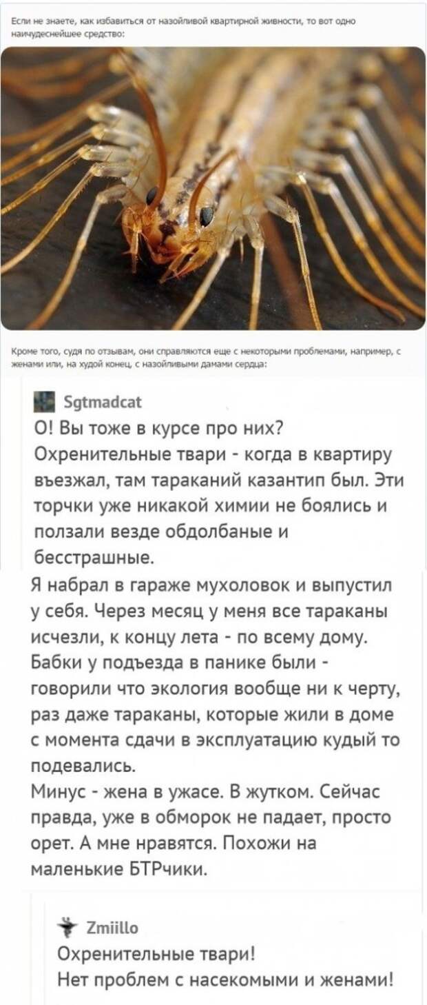 Юмор из соцсетей (21 скриншот)