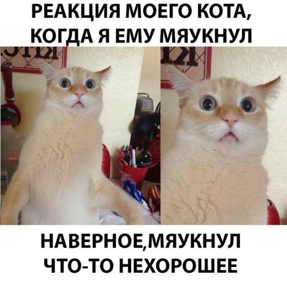 Свежие картинки с надписями понедельника (15 шт)