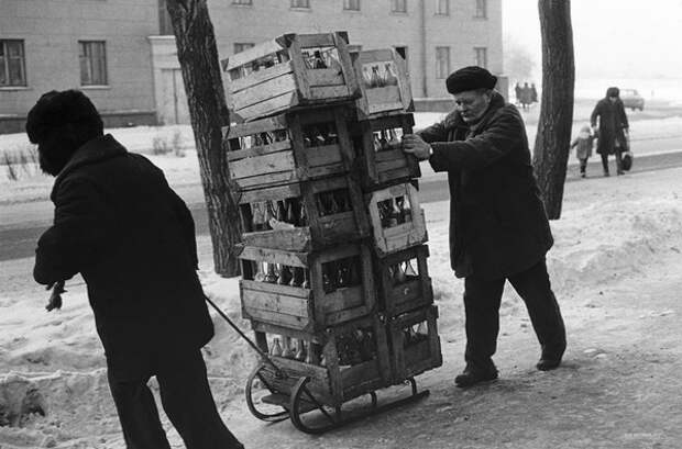 Приемщики стеклотары,1982 СССР, интересно