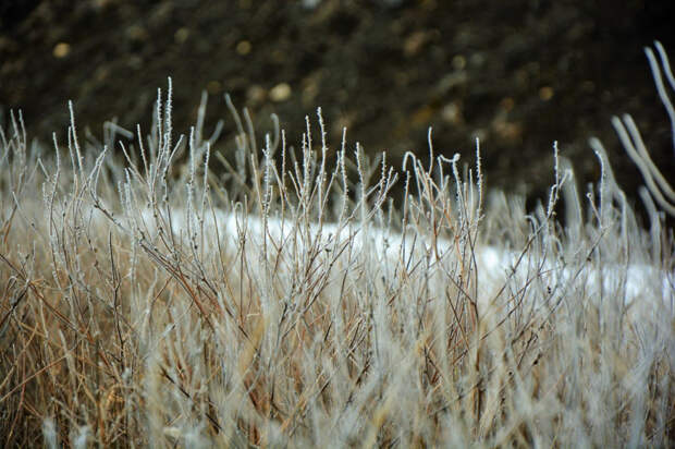 Погода 25 декабря: ночью до -6