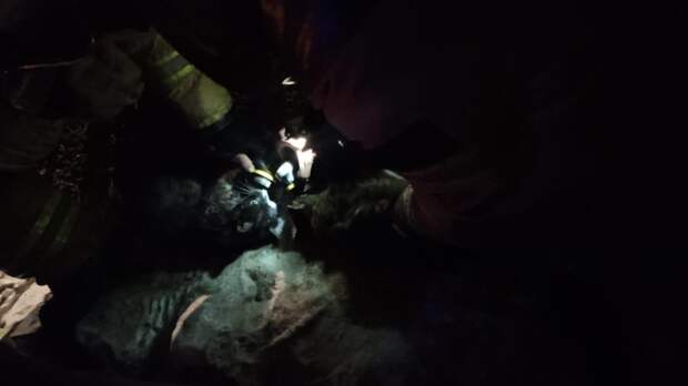 В Ангарске огнеборцы и жильцы дома спасли четырех кошек от пожара