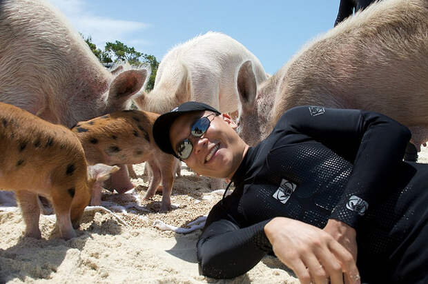 Пляж свиней, фото Эрик Ченг (Eric Cheng)