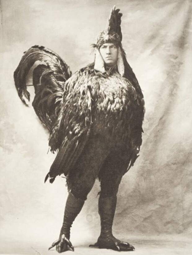 chicken costume