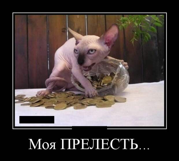 Демотиваторы (20 фото)