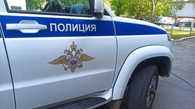 В Старой Руссе вынесен приговор за оскорбление сотрудников ДПС