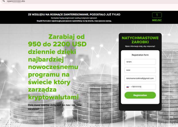 Net Fraud