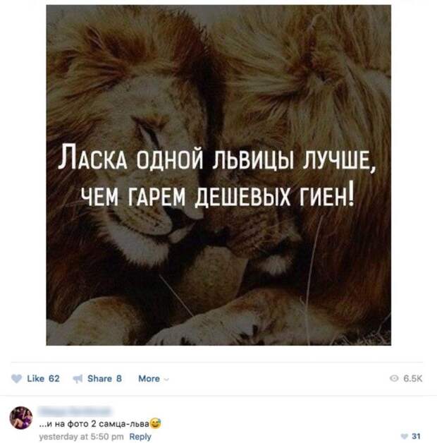 Креативные приколисты из соцсетей