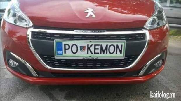 Приколы (55 фото)