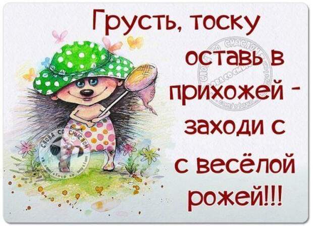 Несколько задорных открыток с отборным юмором