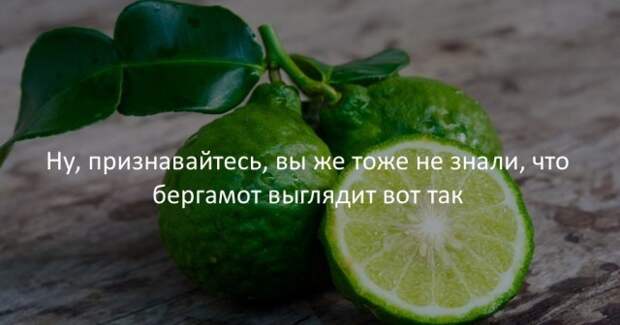 Занимательные факты Занимательные факты интересно, любопытно, факты