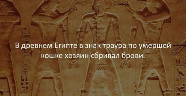 Интересные факты