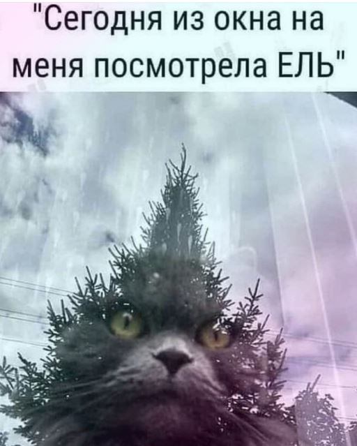приколы картинки с надписями смешные (13)