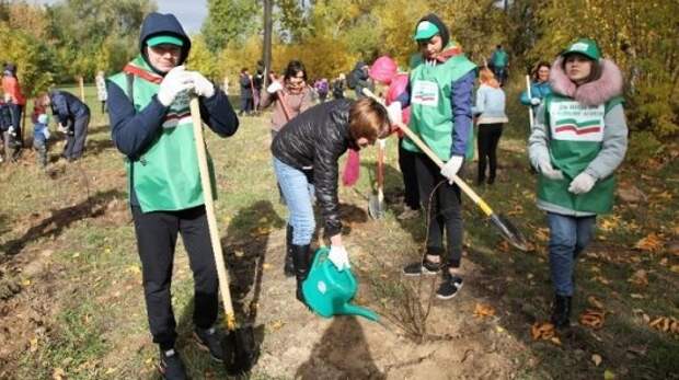 Россияне за месяц высадили 25 миллионов деревьев