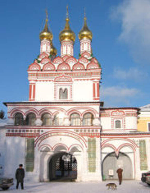 Павлиний глаз в Волоколамске