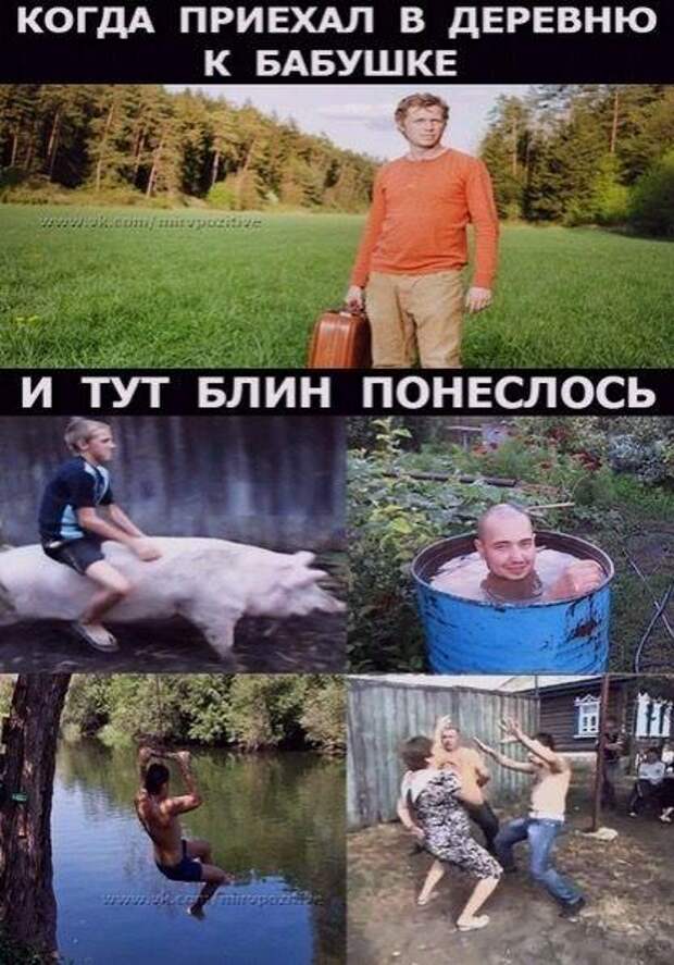 Супер веселые картинки и мемы