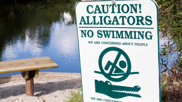 «Байден хотел видеть меня здесь»: Трамп открыл тюрьму посреди болот с аллигаторами