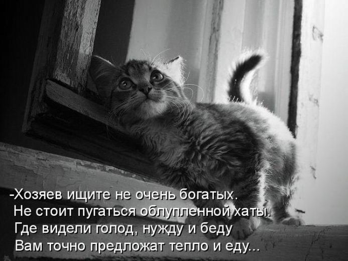 Мысли вслух :)