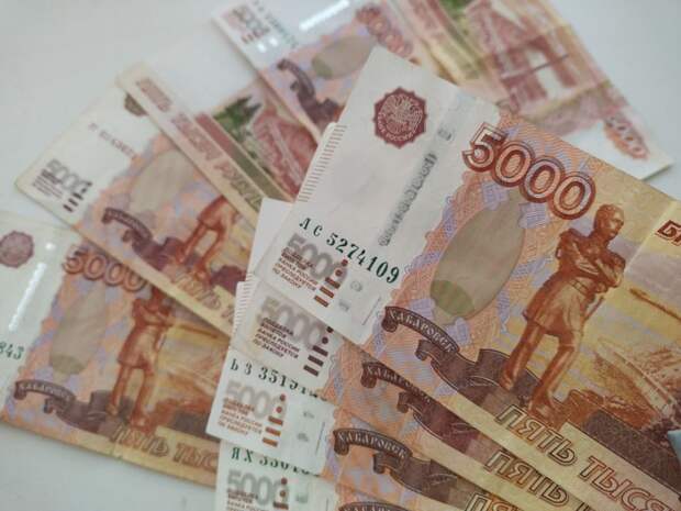 В Киреевском районе собственников сельхозземли оштрафовали за неиспользование участка