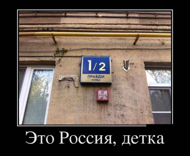 Демотиваторы (30 фото)