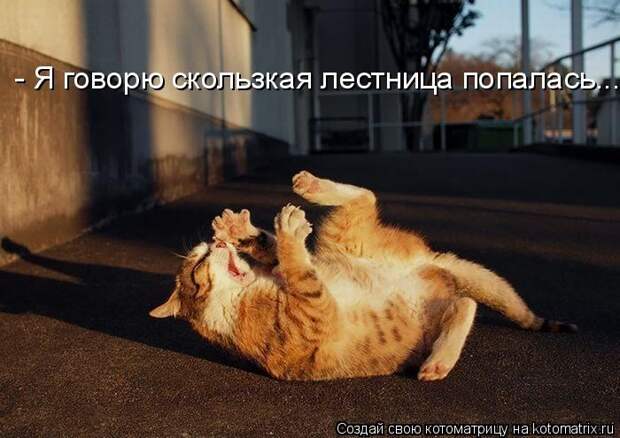Мысли вслух :)