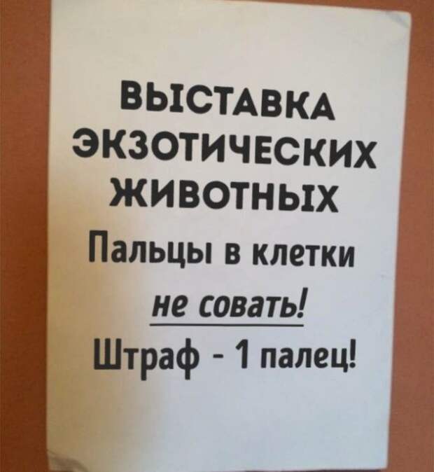 Остроумные объявления, вывески и таблички (21 фото)