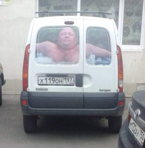 Прикольные картинки