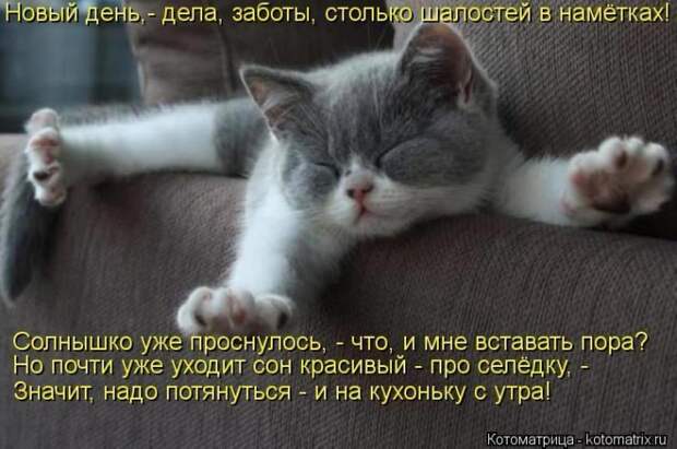 Мысли вслух :) #050614