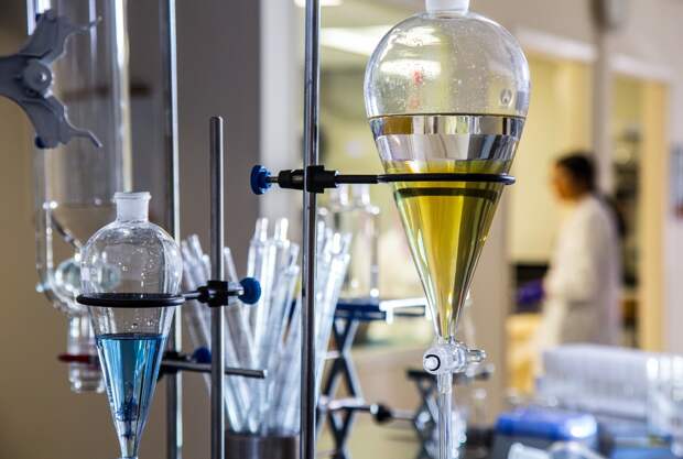 Rolex открыли прием заявок на премию за решение важных для человечества задач