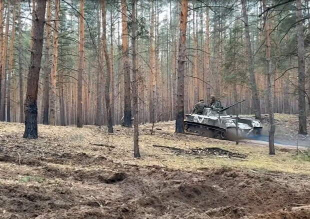 Российские десантники уничтожили опорный пункт ВСУ