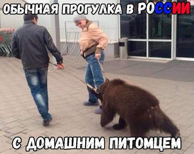 https://bugaga.ru/uploads/posts/2018-06/1530287485_fotomemy-2.jpg