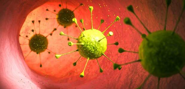 Обнаружен белок‑регулятор, сдерживающий вирулентность Yersinia pseudotuberculosis