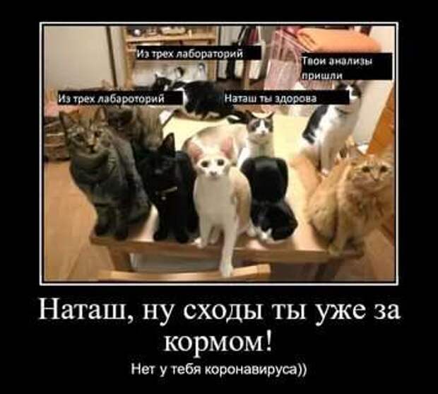 Прикольные демотиваторы с надписями. Подборка chert-poberi-dem-chert-poberi-dem-21080416012021-2 картинка chert-poberi-dem-21080416012021-2