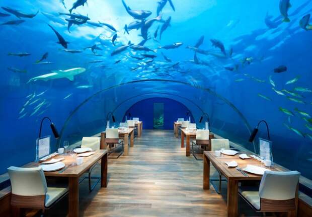 Ithaa - ресторан под водой.