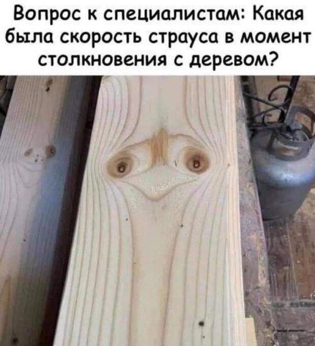 Свежие картинки с надписями на сегодняшний день (среда)