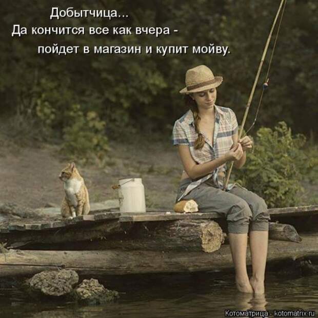 Свежая котоматрица на Бугаге (37 фото)