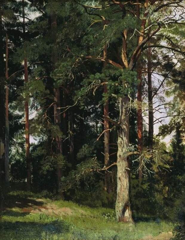пейзажи Ивана Шишкина -4-06 художник Иван Шишкин картины -4-06