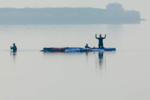 Миллионеры решили спасти застрявшего на мелководье кита Тимми при помощи воздушных подушек