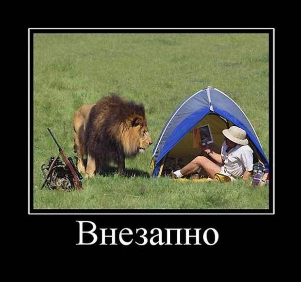 Демотиваторы (20 фото)