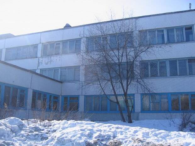 Школа номер 173. Школа 173 Новосибирск. Школа 19 Новосибирск. Школа 60 Новосибирск. Школа 29 Новосибирск.