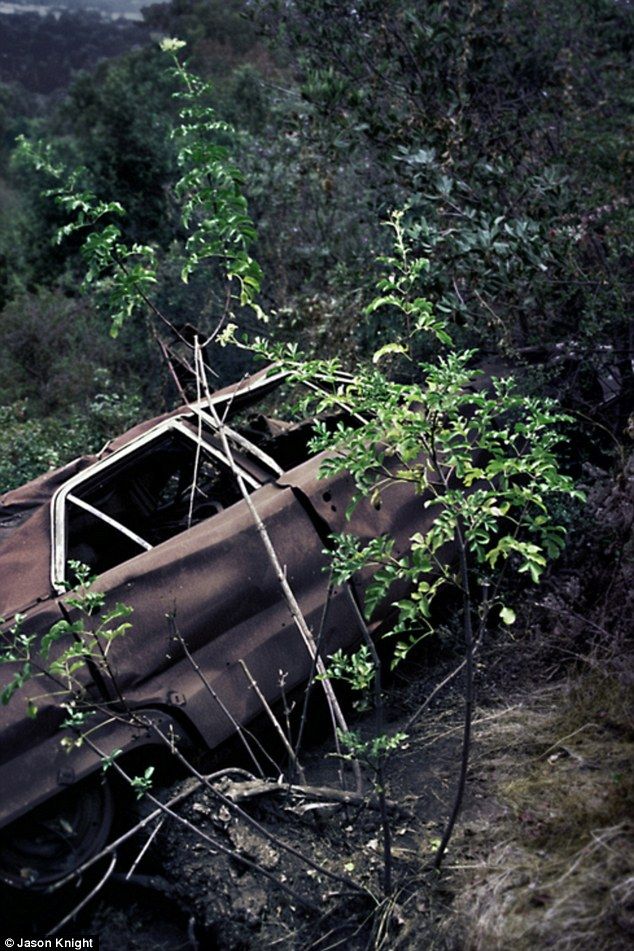 Раритетные автомобили на обрывах шоссе «Малхолланд Драйв» DeadMansCurve10 Раритетные автомобили на обрывах шоссе «Малхолланд Драйв»