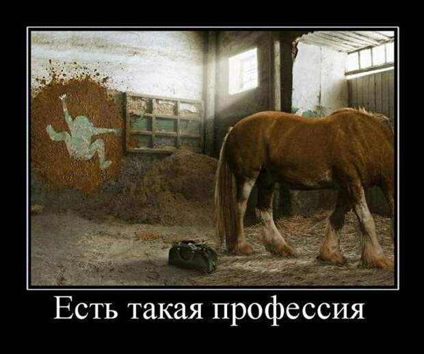 Демотиваторы (30 фото)