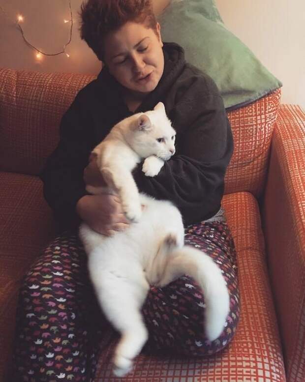 18. Пытаются сжать кота в объятьях, когда он очевидно этого не хочет домашний питомец, животные, кот, кошка, привычки, прикол, юмор