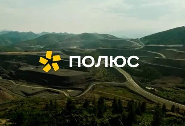 Полюс