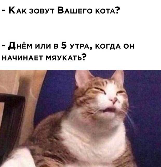 Смешные фото вечер 17 декабря 2020