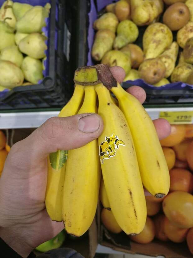 Ну, вот, что сейчас за бананы пошли? При Сталине такой фигни не было! ))