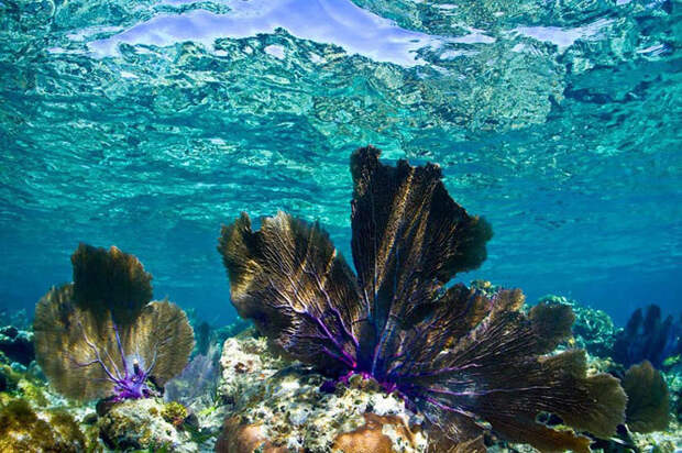 Места с чистейшей водой, где очень хочется искупаться