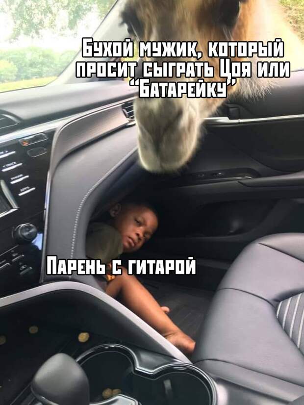 Подборка картинок. Дневной выпуск (30 фото)