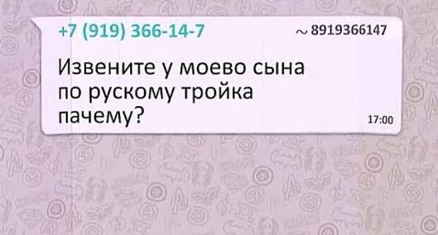 12 угарных скринов из родительских школьных чатов