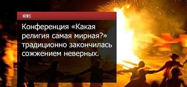 4091266_90d9b472