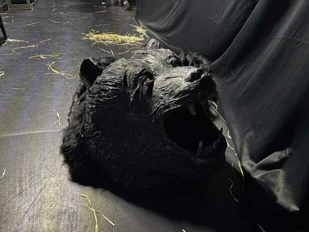 Медведь, фокусы и тайна «ни‑ни»: пять неожиданных деталей нового «Дубровского»